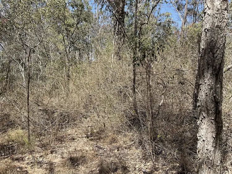 Seventh view of Homely rural property listing, Lot 59 Kingaroy Cooyar Road, Brooklands QLD 4615