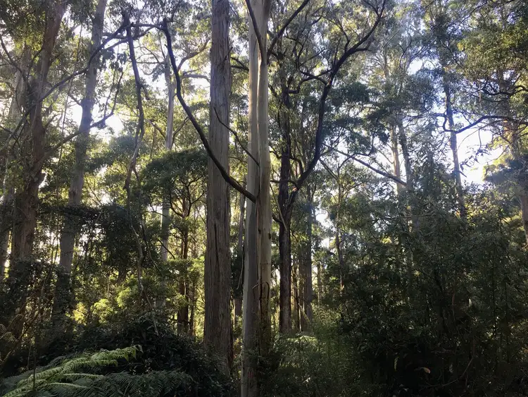 Second view of Homely rural property listing, 198 Whitehills Road, Penguin TAS 7316