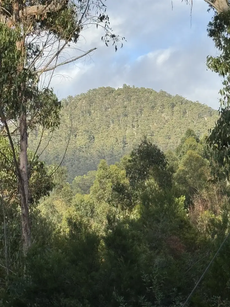 Fifth view of Homely rural property listing, 198 Whitehills Road, Penguin TAS 7316
