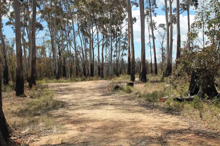 Fourth view of Homely land listing, 40 Donald Rd, Clarence NSW 2790