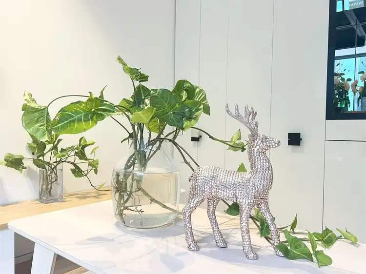 N1509/33 Ultimo Rd, Haymarket NSW 2000