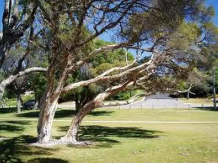 Sixth view of Homely land listing, 21 Sanctuary Circuit, Dawesville WA 6211