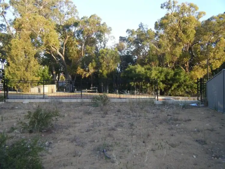 54 Abingdon Crescent, Wellard WA 6170