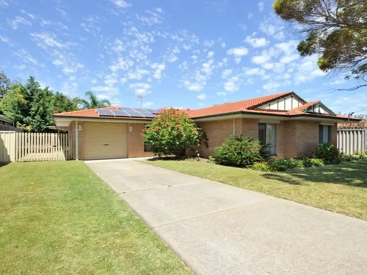 Main view of Homely house listing, 12 Bardoc Court, Hillman WA 6168