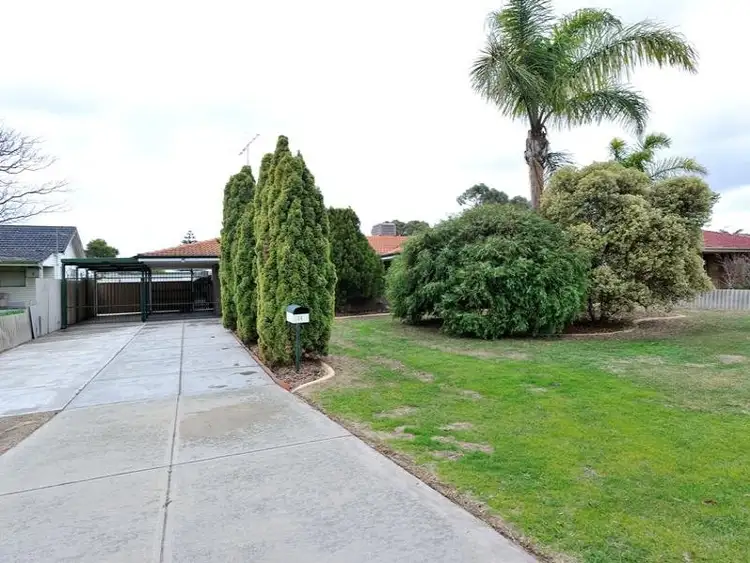 36 Griggs Way, Rockingham WA 6168