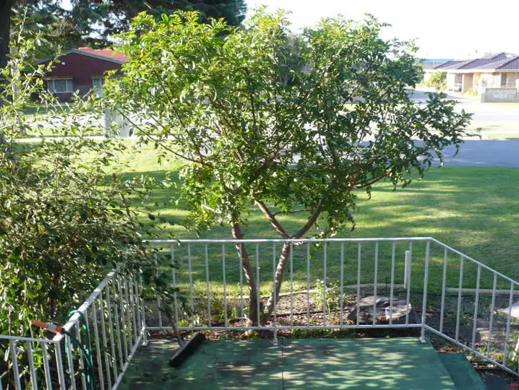 Sixth view of Homely house listing, 19 Ray Street, Rockingham WA 6168