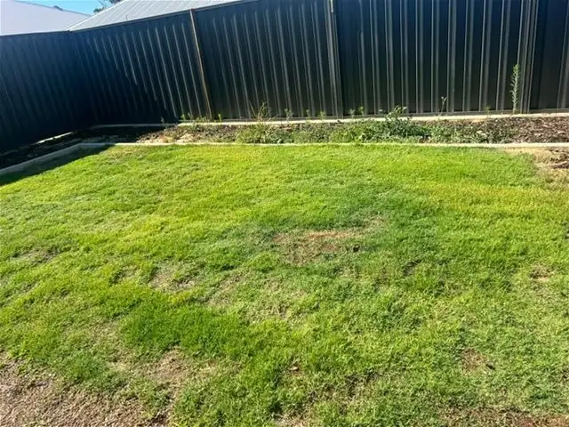 Sixth view of Homely house listing, 43 Stithians Ave, Aveley WA 6069