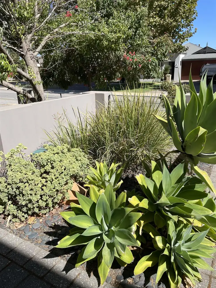 Third view of Homely townhouse listing, 45 Baler Court, Hammond Park WA 6164