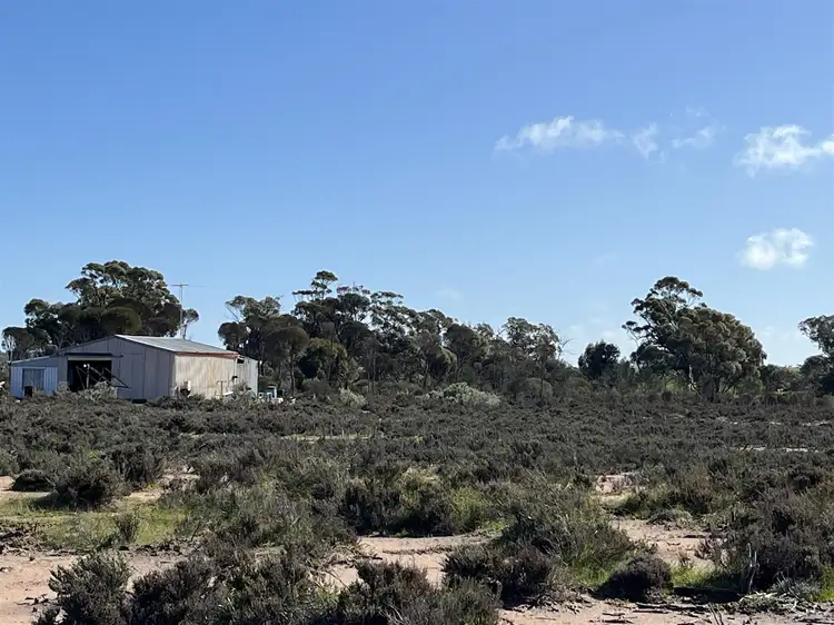 Main view of Homely rural property listing, 12218 Bibiking Rd, Dumbleyung WA 6350