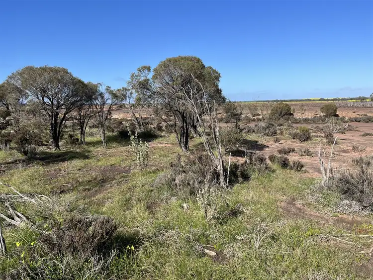 Third view of Homely rural property listing, 12218 Bibiking Rd, Dumbleyung WA 6350