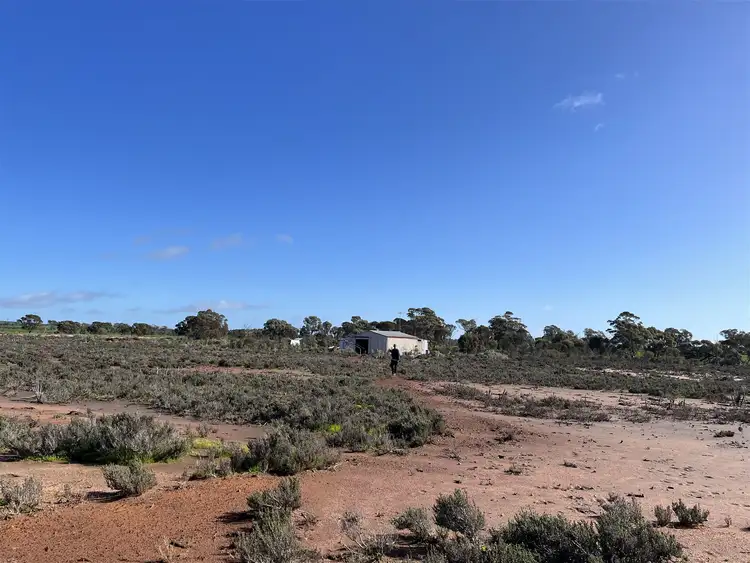 Fourth view of Homely rural property listing, 12218 Bibiking Rd, Dumbleyung WA 6350