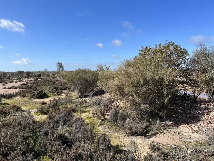 Fifth view of Homely rural property listing, 12218 Bibiking Rd, Dumbleyung WA 6350