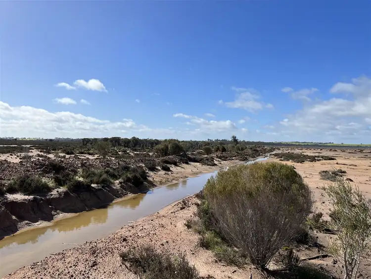 Seventh view of Homely rural property listing, 12218 Bibiking Rd, Dumbleyung WA 6350