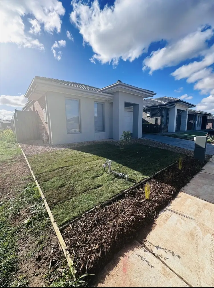 3 Songlark St