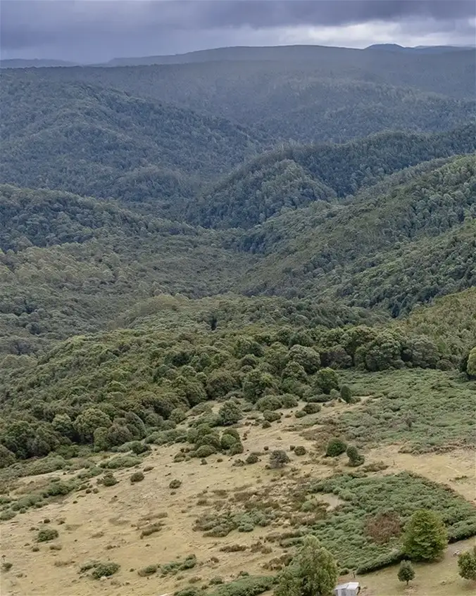 Fifth view of Homely land listing, 72 Walker st, Waratah TAS 7321