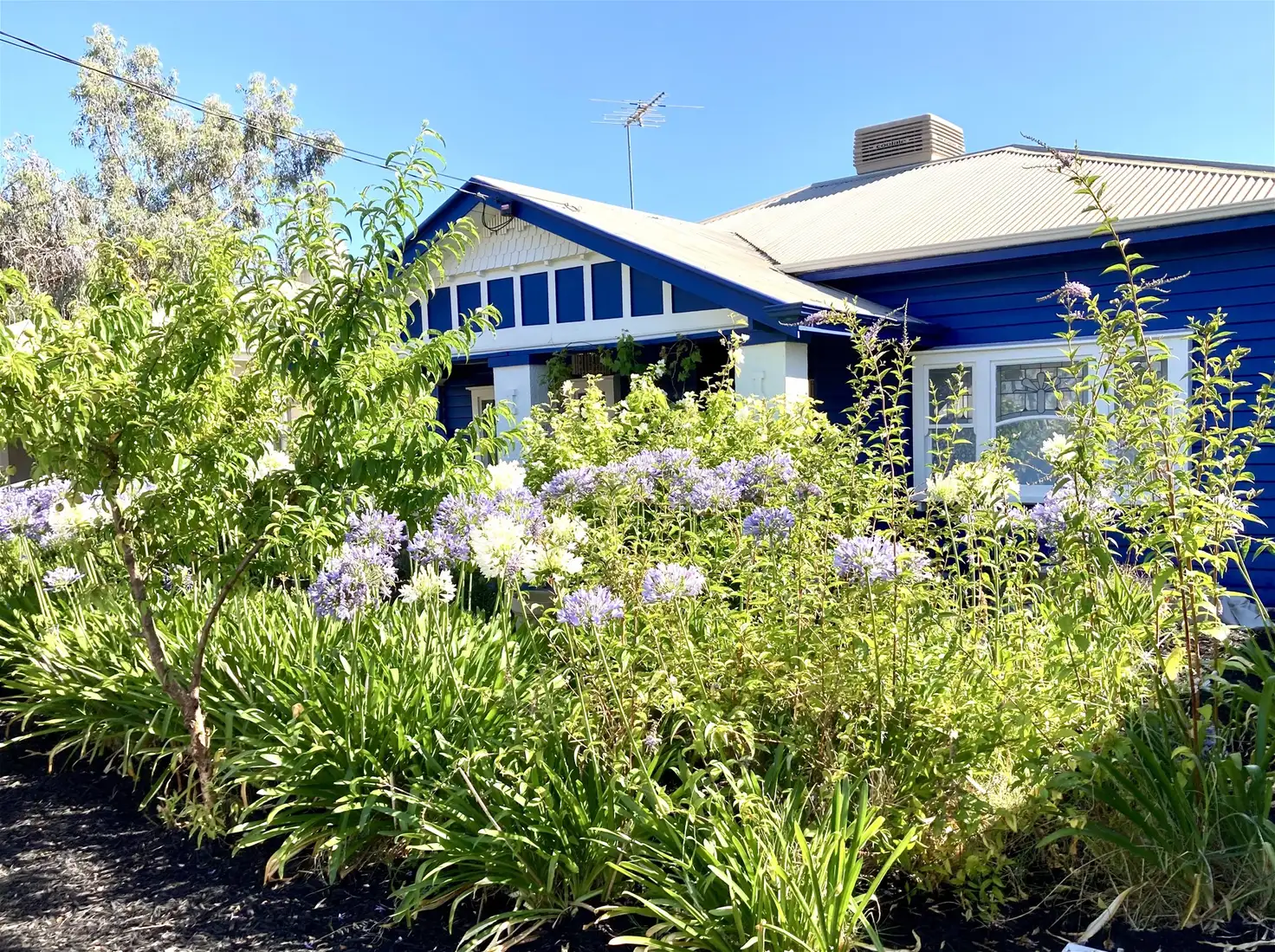 Main view of Homely house listing, 88 Twelfth Street, Mildura VIC 3500