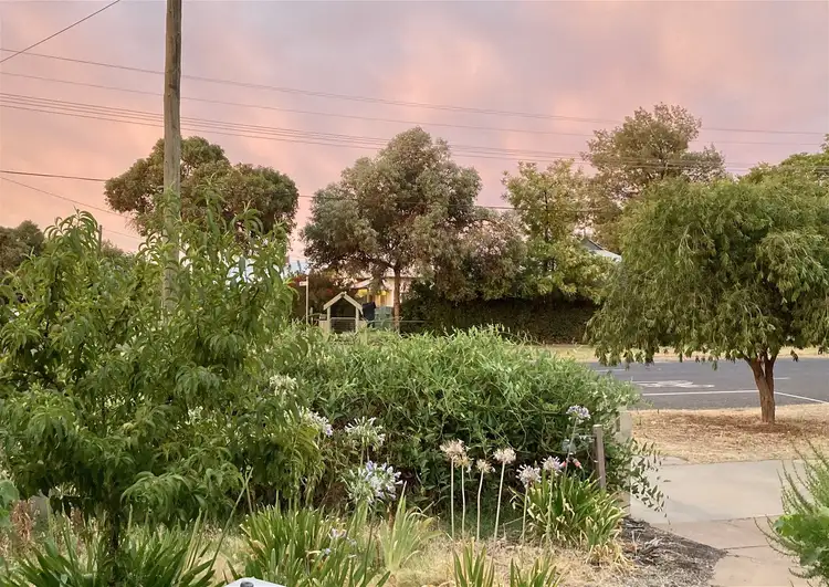 Fifth view of Homely house listing, 88 Twelfth Street, Mildura VIC 3500