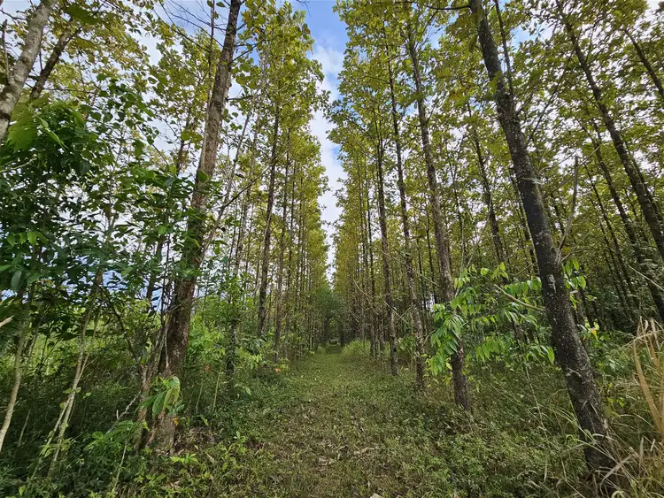 Fourth view of Homely rural property listing, Lot 18 Camarlinghi Road, Garradunga QLD 4860