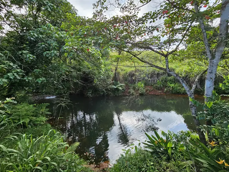 Sixth view of Homely rural property listing, Lot 18 Camarlinghi Road, Garradunga QLD 4860