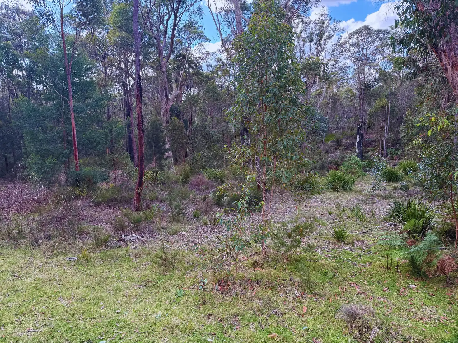 Main view of Homely land listing, Lots 12, 13 &amp; 14 Badgery Street, Willow Vale NSW 2575