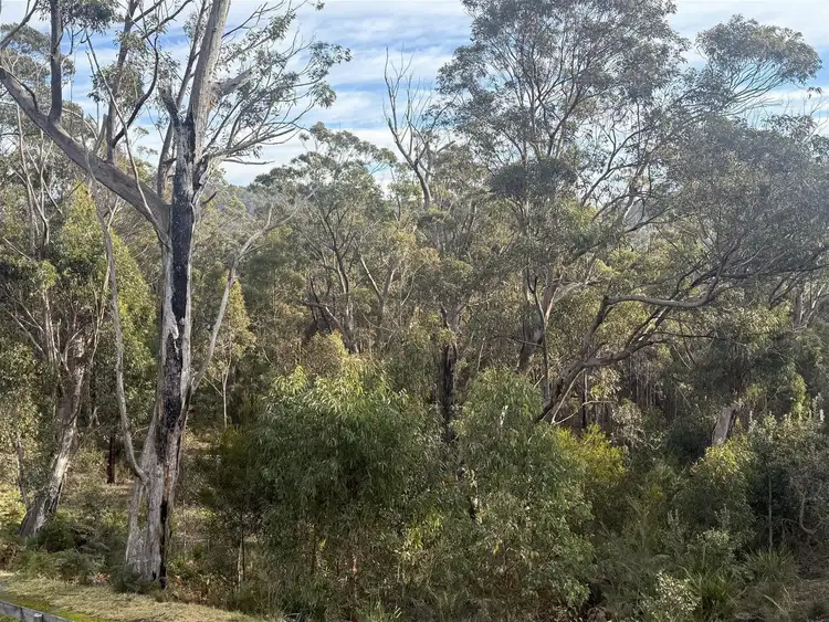 Fourth view of Homely land listing, Lots 12, 13 & 14 Badgery Street, Willow Vale NSW 2575