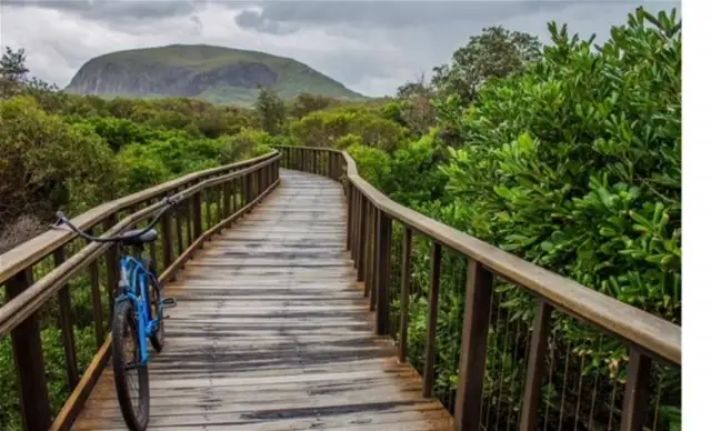 Fourth view of Homely apartment listing, 4303/27 BOARDWALK BOULEVARD, Mount Coolum QLD 4573