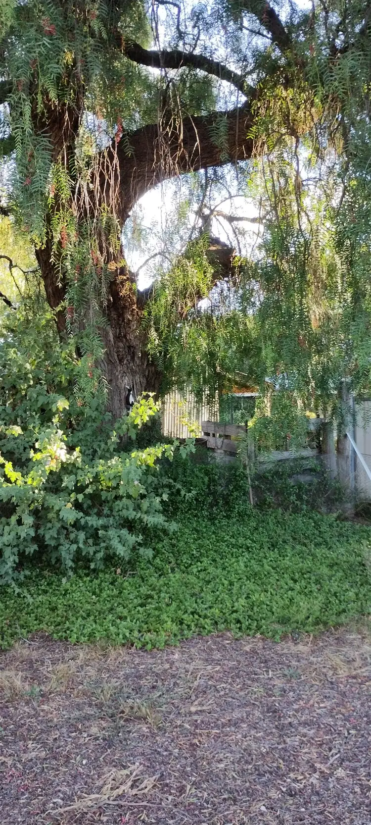 Sixth view of Homely land listing, 62 Brigade Avenue, Campbells Creek VIC 3451