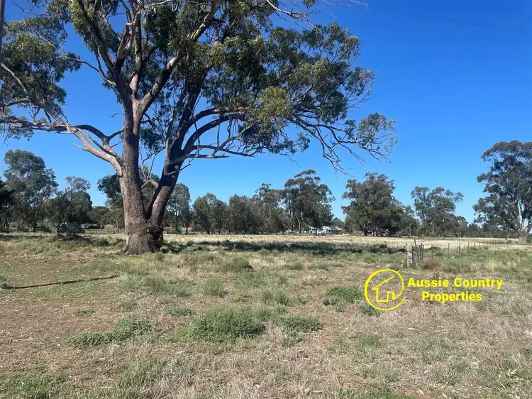 Seventh view of Homely house listing, 51-59 Momalong Street, Berrigan NSW 2712