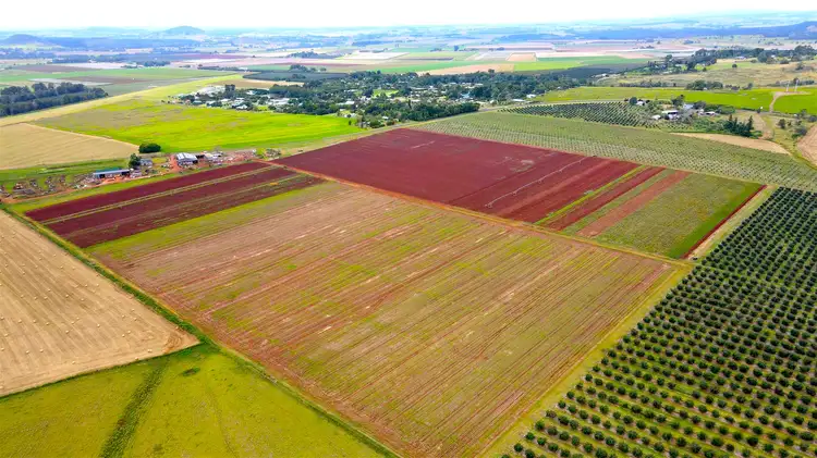 Second view of Homely rural property listing, 43-139 TINAROO FALLS DAM ROAD, Atherton QLD 4883