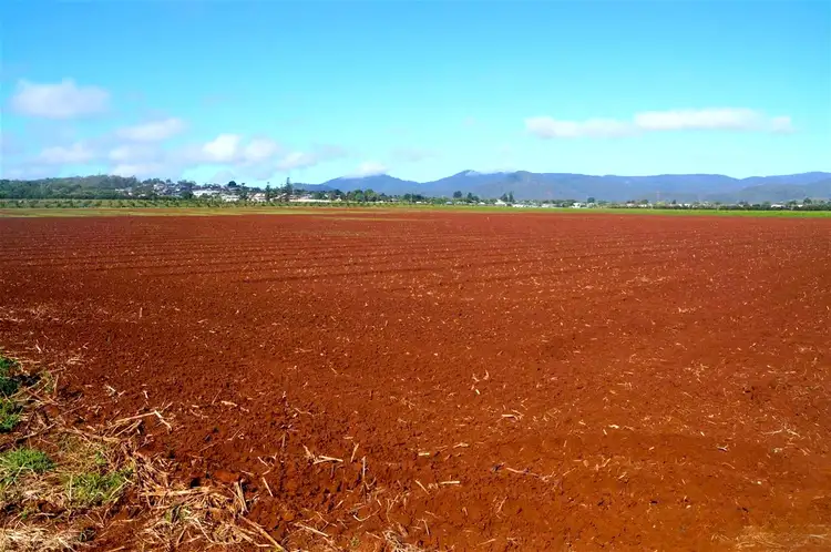 Third view of Homely rural property listing, 43-139 TINAROO FALLS DAM ROAD, Atherton QLD 4883