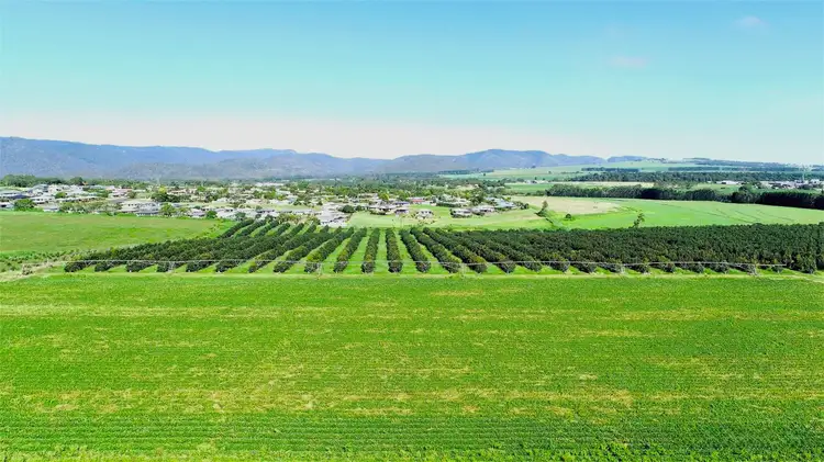 Fifth view of Homely rural property listing, 43-139 TINAROO FALLS DAM ROAD, Atherton QLD 4883