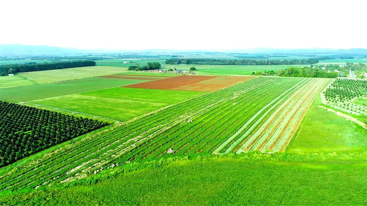 Seventh view of Homely rural property listing, 43-139 TINAROO FALLS DAM ROAD, Atherton QLD 4883