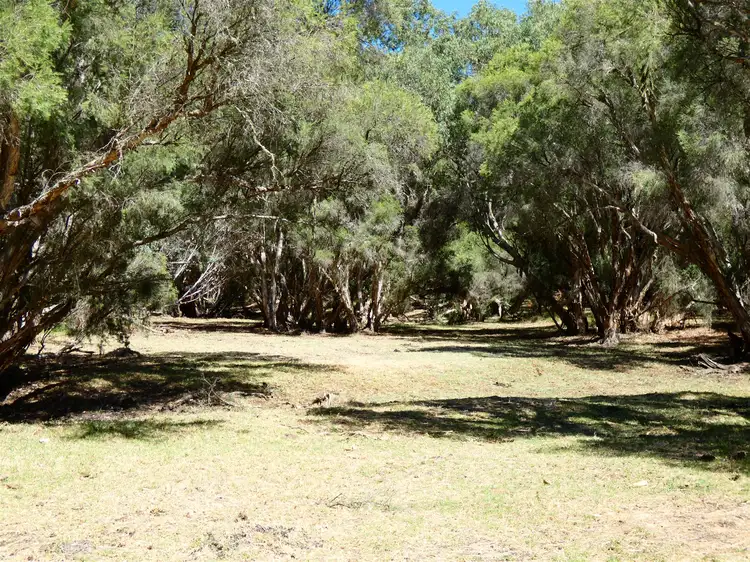 Fourth view of Homely rural property listing, Address available on request