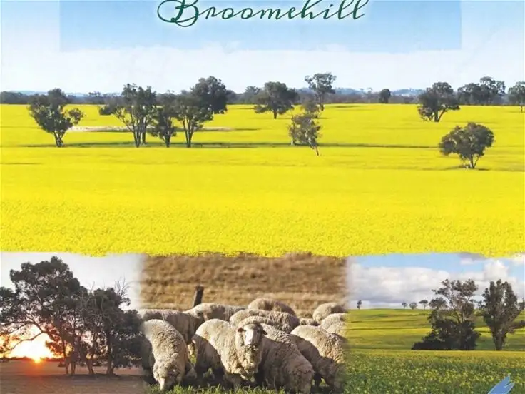 Fifth view of Homely land listing, 301 Tie Line Road, Broomehill Village WA 6318