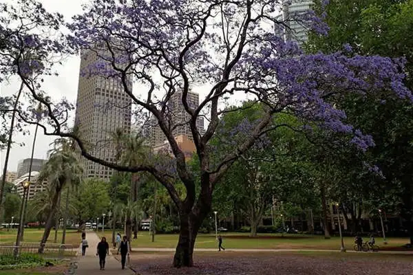 Main view of Homely apartment listing, Address available on request