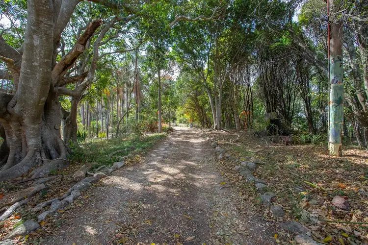 Third view of Homely house listing, 504 Barney View Road, Barney View QLD 4287