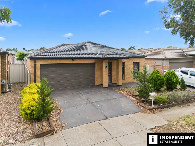7 Red Fox Boulevard, Brookfield VIC 3338