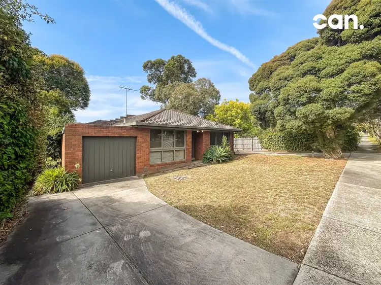 1/6 Belmont Street