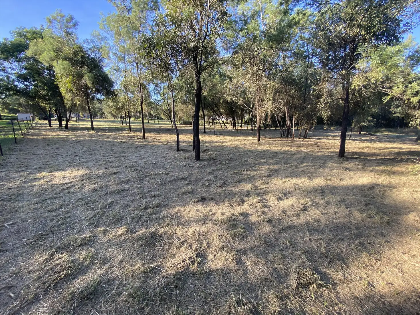 Main view of Homely land listing, 43-49 Safflower st, Memerambi QLD 4610