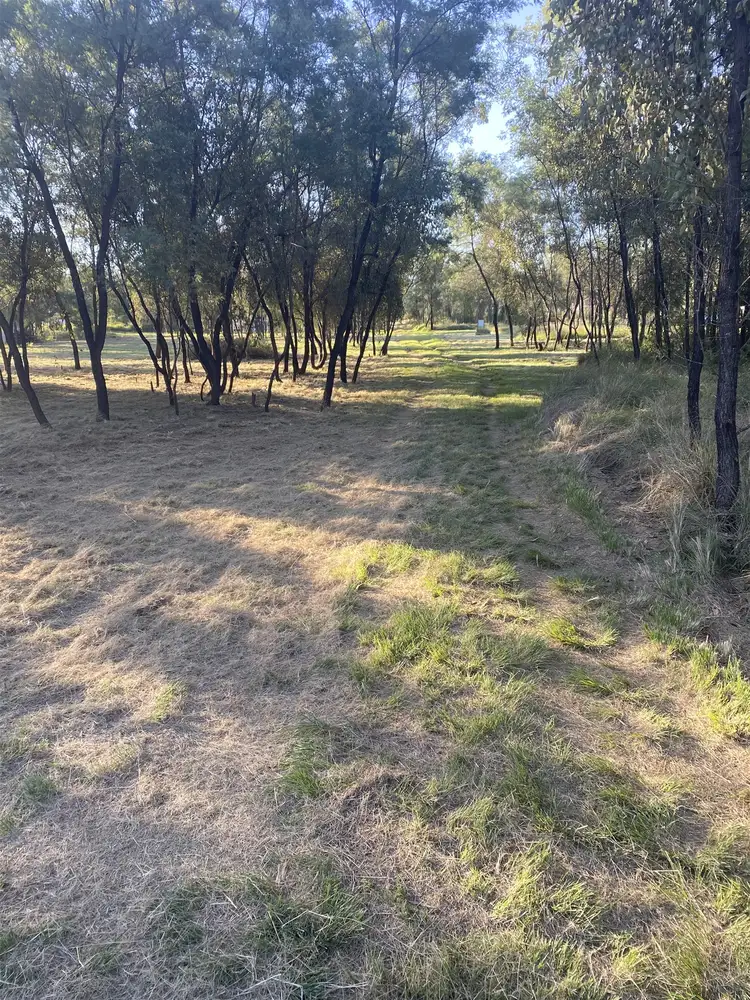 Second view of Homely land listing, 43-49 Safflower st, Memerambi QLD 4610