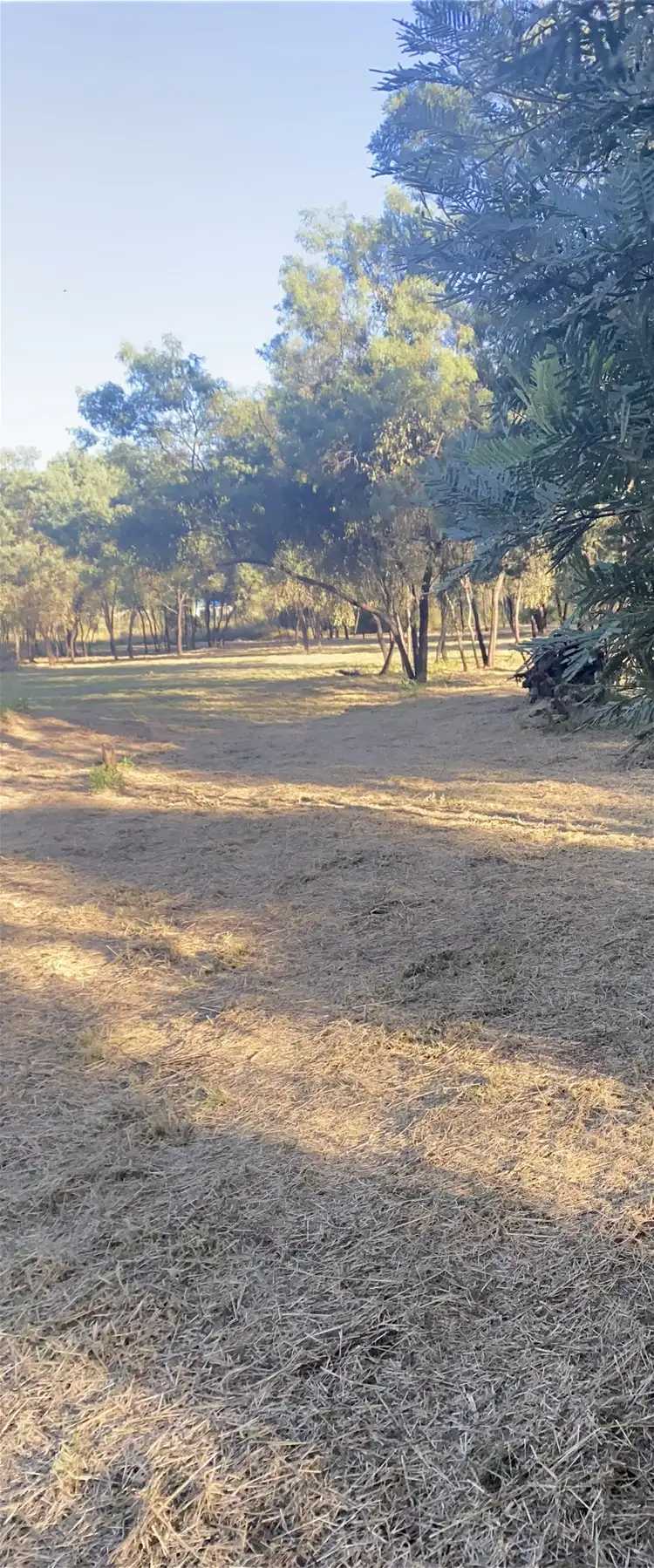 Third view of Homely land listing, 43-49 Safflower st, Memerambi QLD 4610