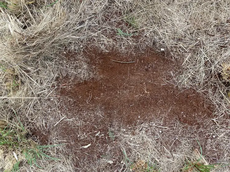 Seventh view of Homely land listing, 43-49 Safflower st, Memerambi QLD 4610