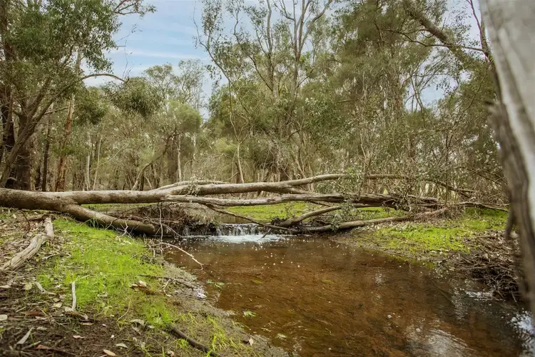 Fourth view of Homely land listing, Lot 244 Coot Road, Parkerville WA 6081