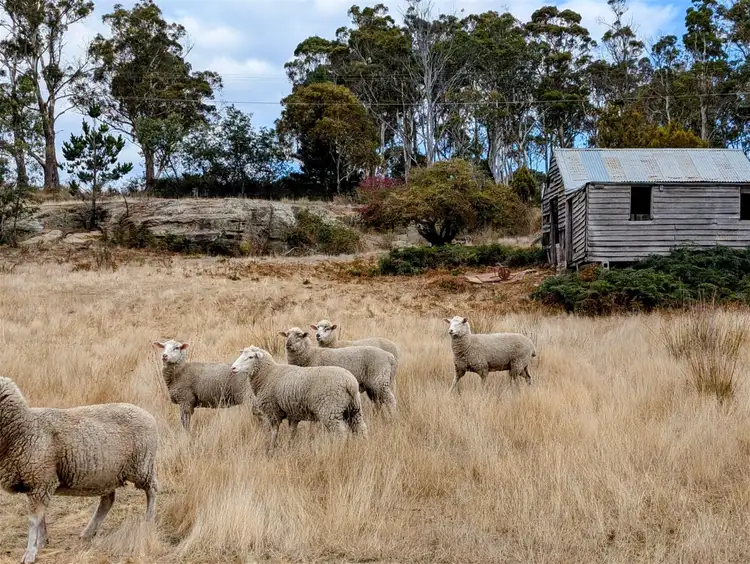 Main view of Homely land listing, 769 Tunnack road, Parattah TAS 7120