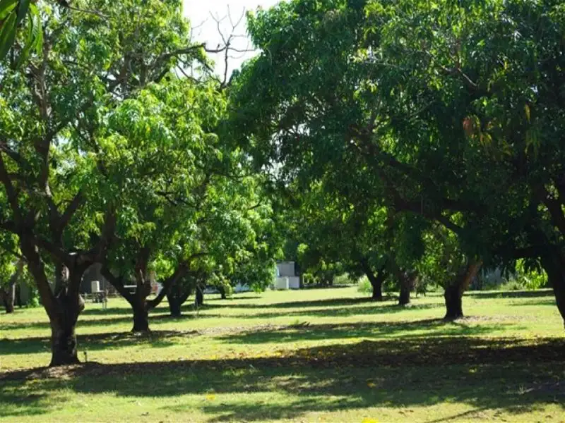 Main view of Homely rural property listing, 8 Wenborn Ct, Girraween NT 836