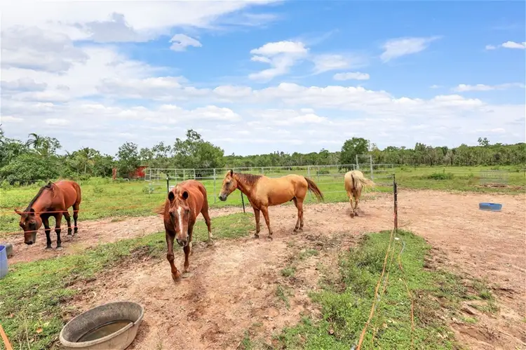 Second view of Homely house listing, 15 Levey Rd, Virginia NT 834