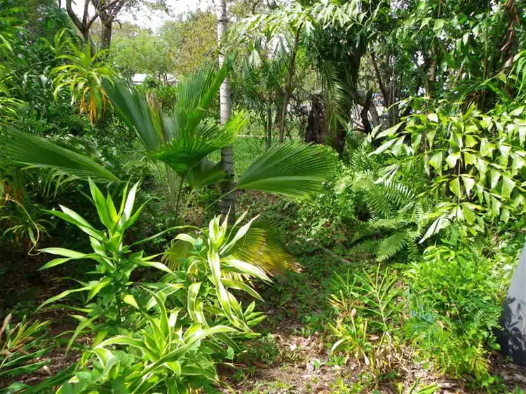 Second view of Homely unit listing, 5/6 Grasslands Cr, Leanyer NT 812