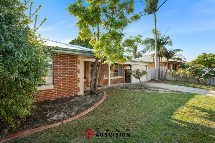 8 Joppa Court, Seville Grove WA 6112
