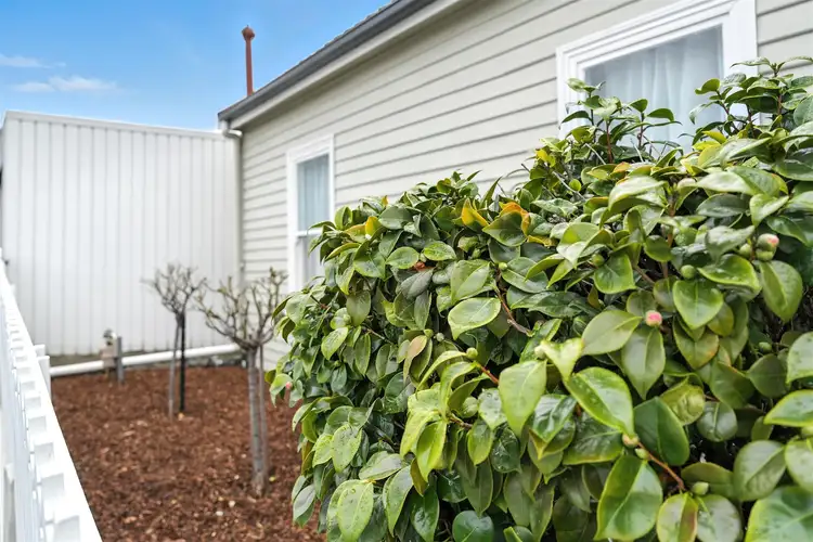 Second view of Homely house listing, 39 Pitt Street, North Hobart TAS 7000