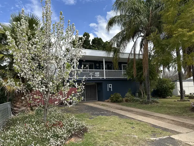 19 Milson Street, Warren NSW 2824